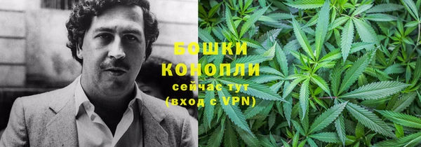 таблы Белокуриха